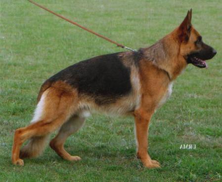 V Maffay von der Wilhelmswarte