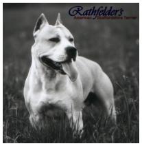 Rathfelder's Double Impact