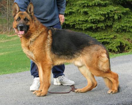 V Logan von den zwei Steinen