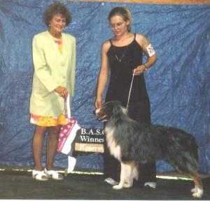 CH Overlands Blu Rustler Rock