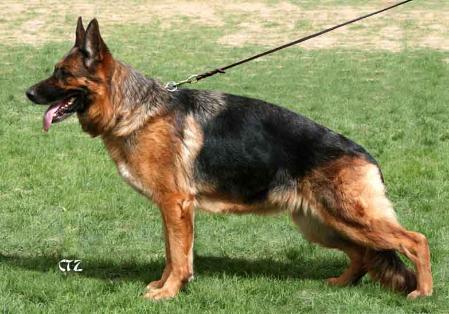 Zara von der Düsselquelle