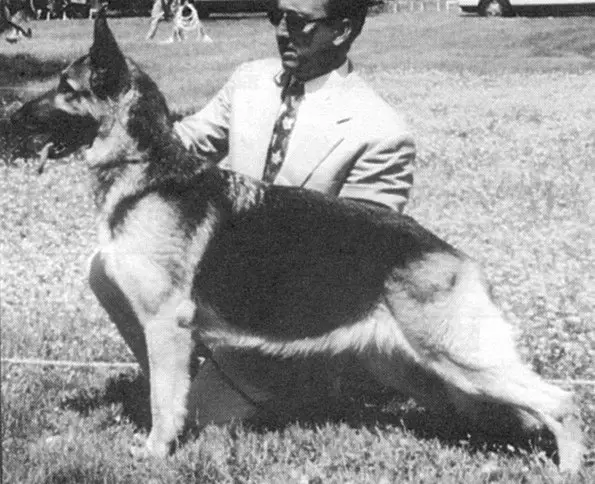 Anton-Red Rock's Xana