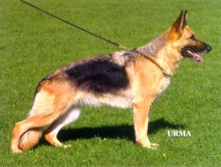 V Quanta von der kleinen Ranch