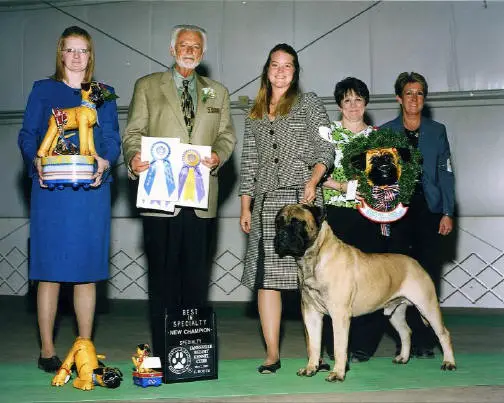 AM CH Will-O-Way Robusto Cohiba