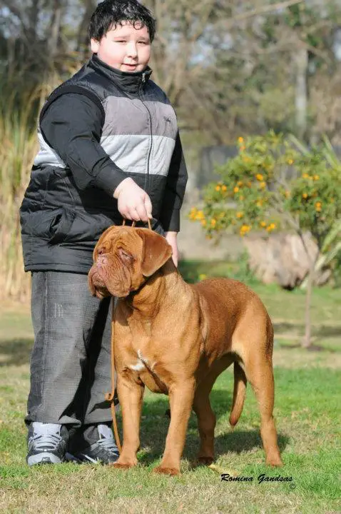 ARGJRCH ARGCH Frula Los Picasos