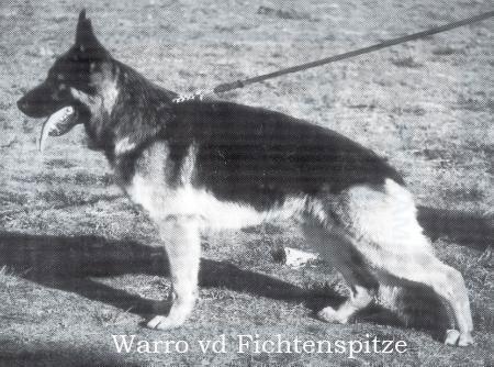 V SUCH Warro von der Fichtenspitze