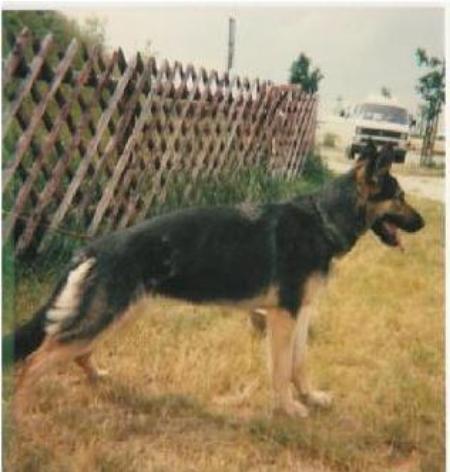 Anja von der Lottbek