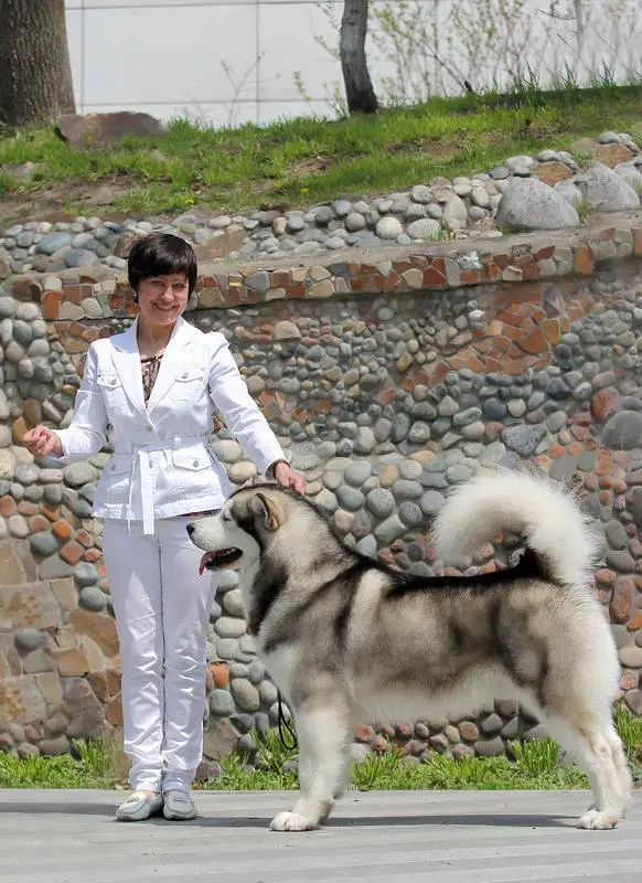 CH RUS,  GRAND Elessar Sausimayok