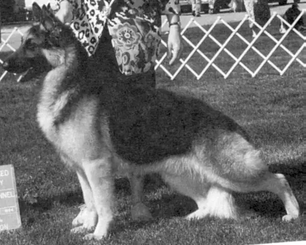 Cloudways Drummer Lebarland