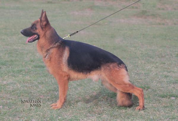 V, SG-1 PAK 2013 , SG-1 SEIGER 2013 PAK - V-1 LG SHOW 2014 - Kiko Boghaus