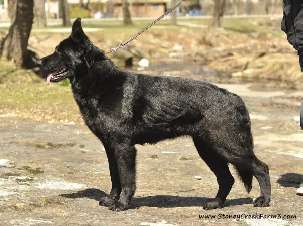 Nikon vom Kistha Haus