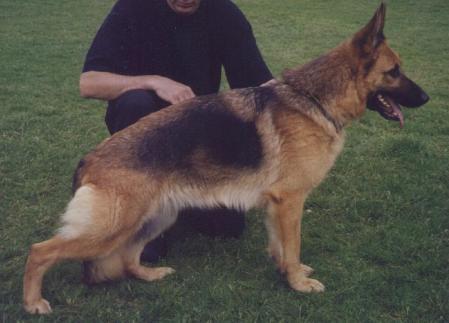 V Ayla van de Zomerdijkslanden