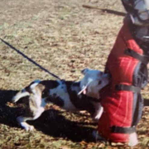 Cards Tacoma Blue Starr