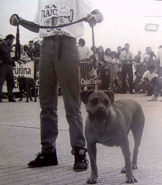 Catana de Los Cardones