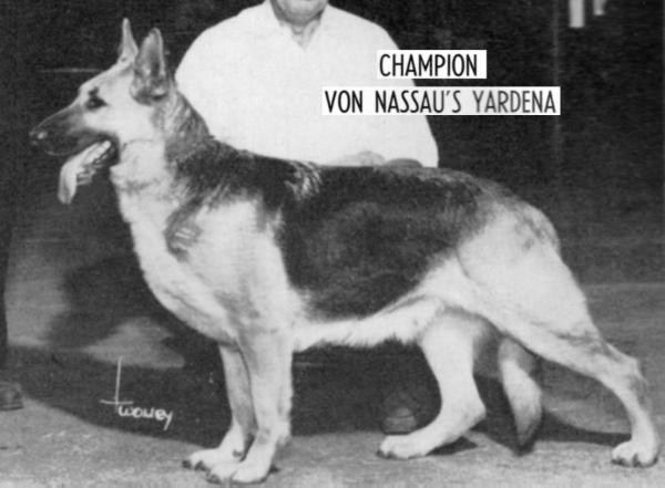 CH (US) Von Nassau's Yardena