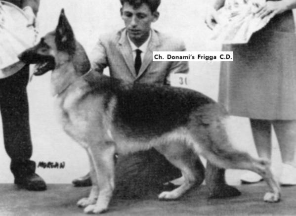 Donami's Frigga