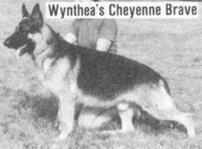 Wynthea's Cheyenne Brave