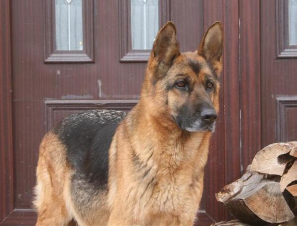 Odete Von Bienenwald