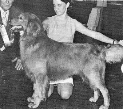 CH Can Vagabond's Cougar Bill