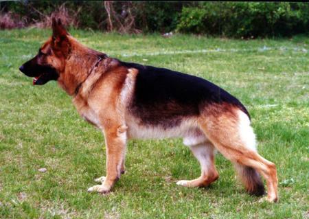 Jam von der Fichtenspitze