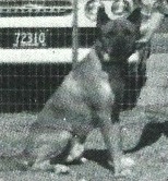 Major