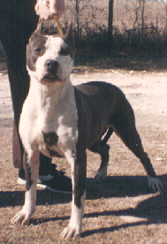 Tonkawa Apache