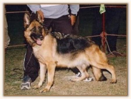 V Xanthi vom Schornfelsen