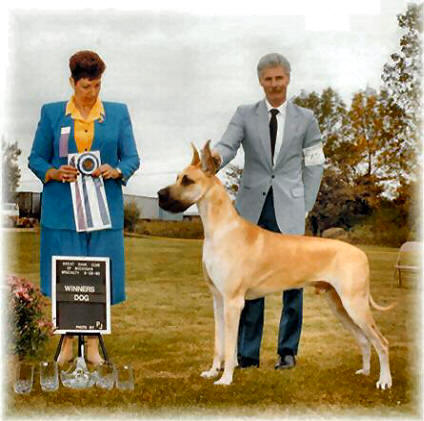 CH Rojon's the Saint