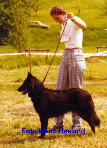 Ballerine von Nauenhof