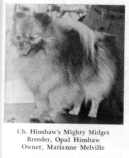 CH Hinshaw's Mighty Midget