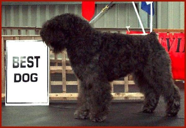 CH. Johnny Cayoshka v.h. Elckerhof