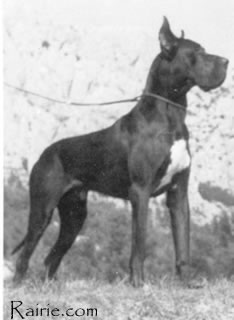 Hannibal vom Hause Istra