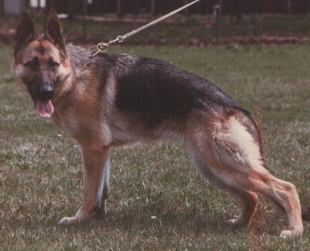 Irta dell' Isola dei Baroni