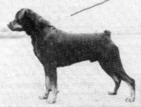 Gerlach van het Brabantpark