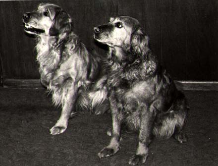 Valentine Torch of Topbrass