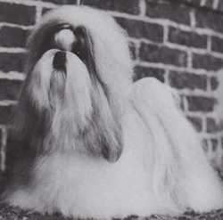 CH Hodari Lord of the Rings