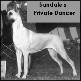 CH Sandales Private Dancer