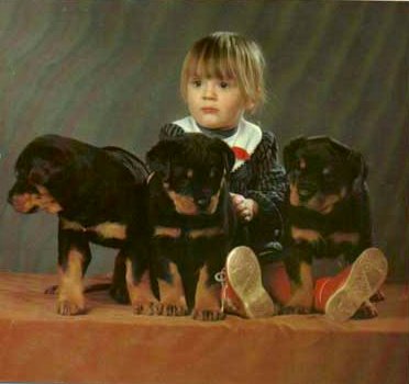 Vicky vom Schwaiger Wappen