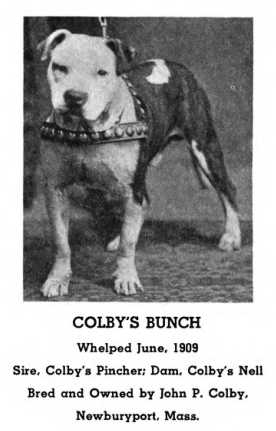 Colby's Bunch