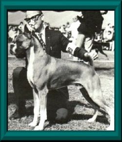 Ch. Salgray's Ambush