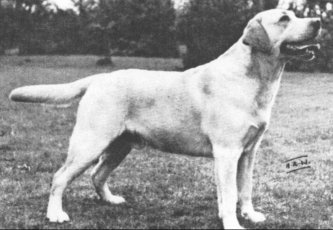 Poolstead Pearl Barley