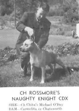 CH Rossmore's Naughty Knight
