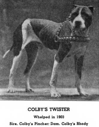 Colby Twister