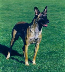 Kyra Airport Hannover