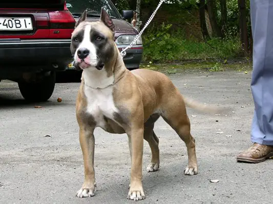 Vanilla Sky from Royal Court Yard