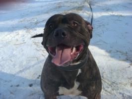 Ch White Path's Painted Rock