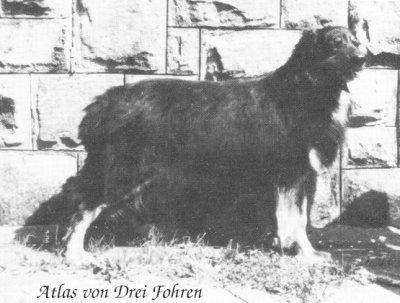 ICH. CH-A Atlas von der Drei Föhren