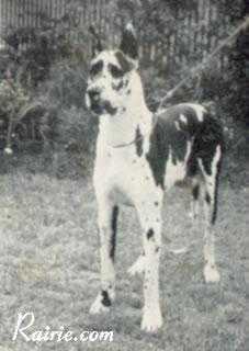 CH Droll von Riedstern