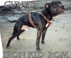ROM Garlaunis' Rambo (Aka Cune's Iron Kid)