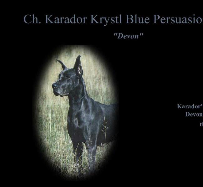 CH Karador Krystl Blue Persuasn